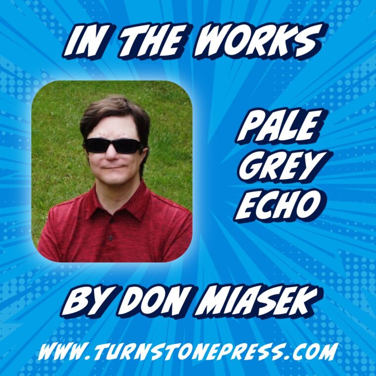 A graphic announcing that Pale Grey Echo, the sequel to 2024's Pale Grey Dot, will release in 2027.